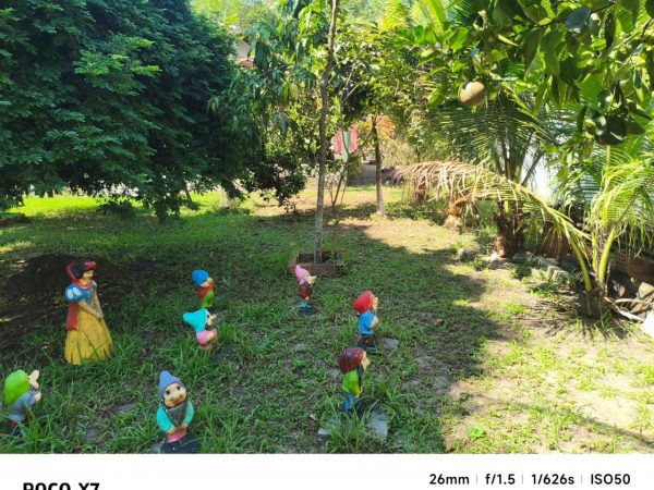 SITIO – Barão do Iriri – Magé
