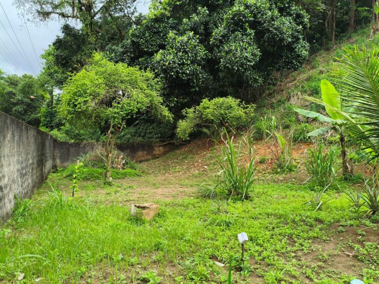 Sitio – Nova Orleans/Barão do Iriri – Magé